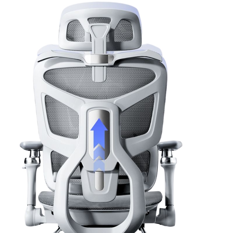 인체공학적 컴퓨터 작업용 사무실 의자, 가정용 요추 지 - Ergonomic Office Chair 리뷰 및 가격
